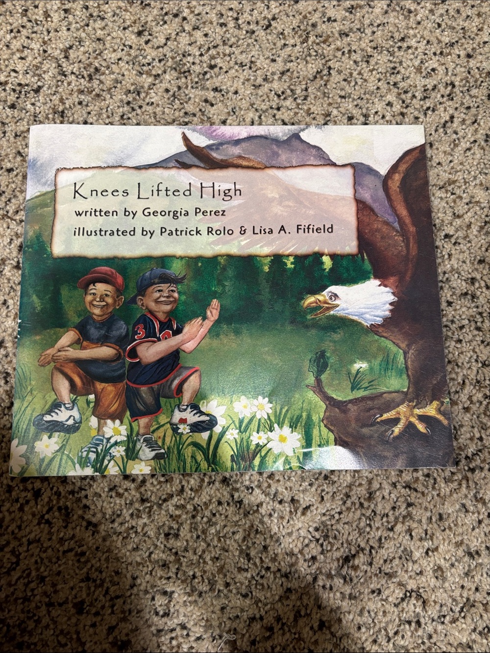 Knees Lifted High Book